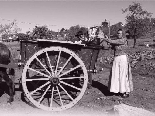Experience the Rich Heritage of Portuguese Folk Culture at the XXXV Festival de Folclore in Odiáxere